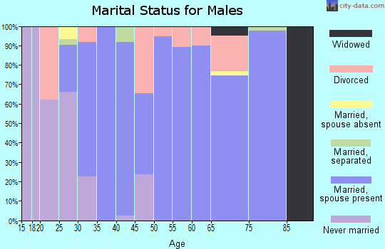Zip code 30511 marital status for males