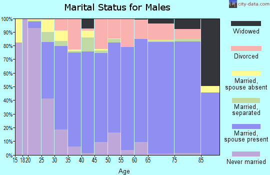 Zip code 30512 marital status for males