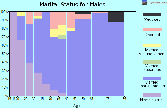 Zip code 30517 marital status for males