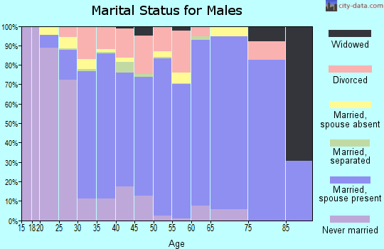Zip code 30519 marital status for males