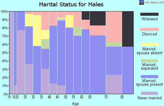Zip code 30521 marital status for males