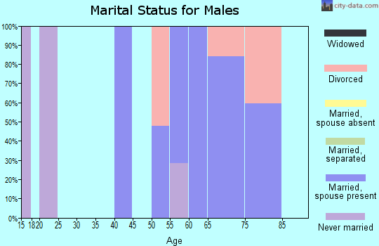 Zip code 30522 marital status for males