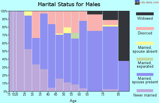 Zip code 30523 marital status for males