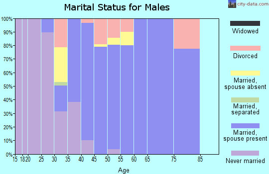 Zip code 30527 marital status for males