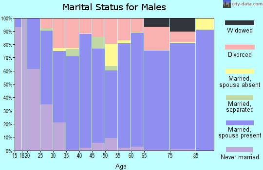 Zip code 30528 marital status for males