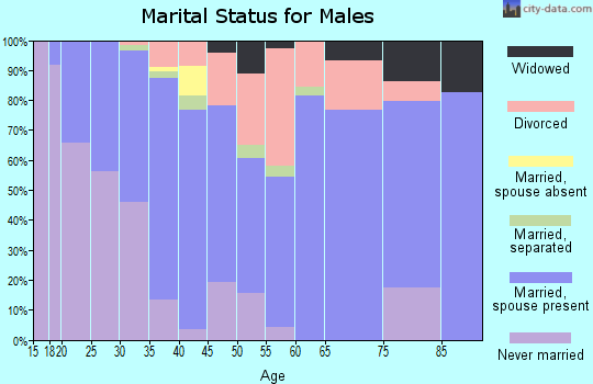 Zip code 30529 marital status for males