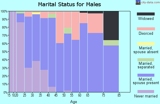 Zip code 30530 marital status for males