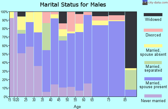 Zip code 30531 marital status for males