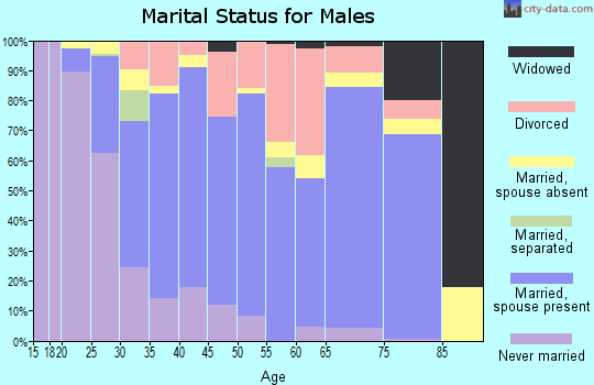 Zip code 30533 marital status for males