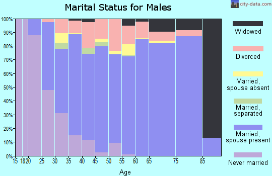 Zip code 30534 marital status for males
