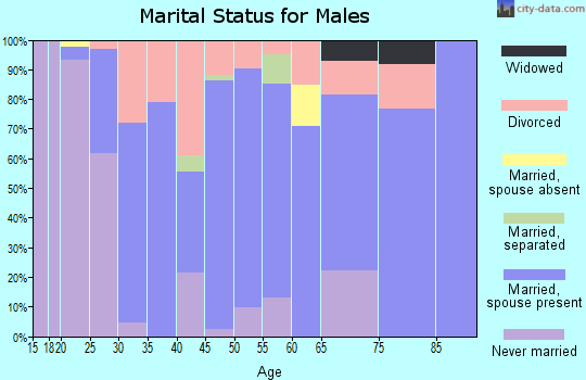 Zip code 30535 marital status for males