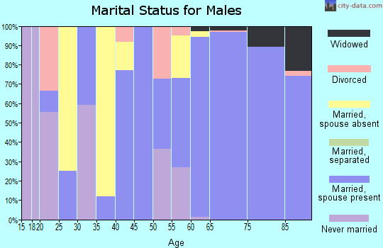 Zip code 30537 marital status for males