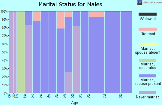 Zip code 30538 marital status for males