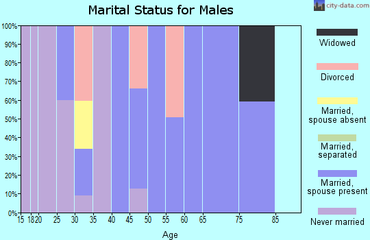 Zip code 30541 marital status for males