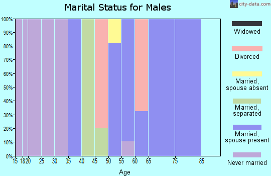 Zip code 30545 marital status for males
