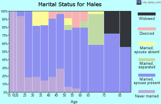 Zip code 30547 marital status for males