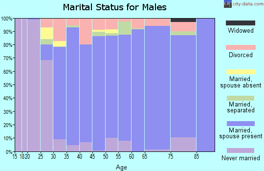 Zip code 30548 marital status for males
