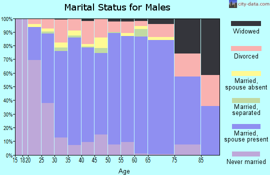 Zip code 30549 marital status for males