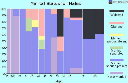 Zip code 30555 marital status for males
