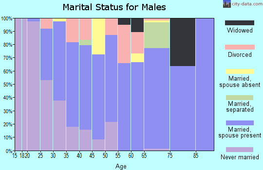 Zip code 30557 marital status for males
