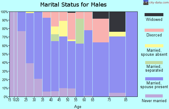 Zip code 30558 marital status for males