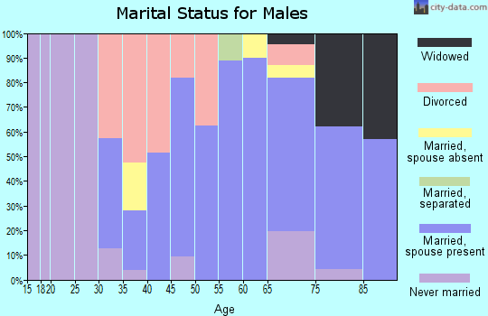 Zip code 30559 marital status for males