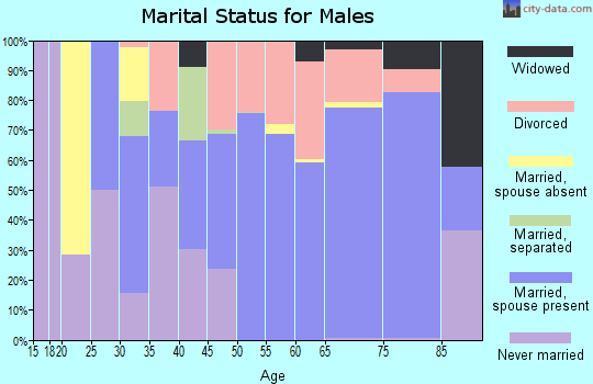 Zip code 30560 marital status for males