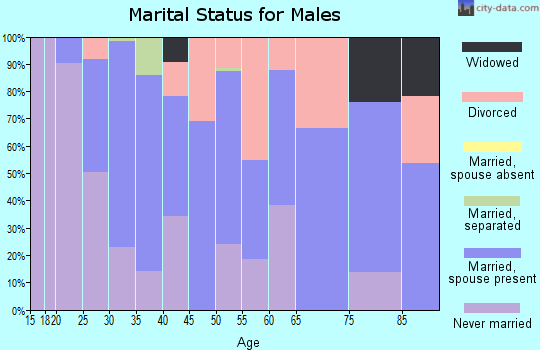 Zip code 30563 marital status for males