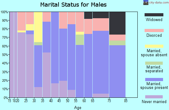 Zip code 30565 marital status for males