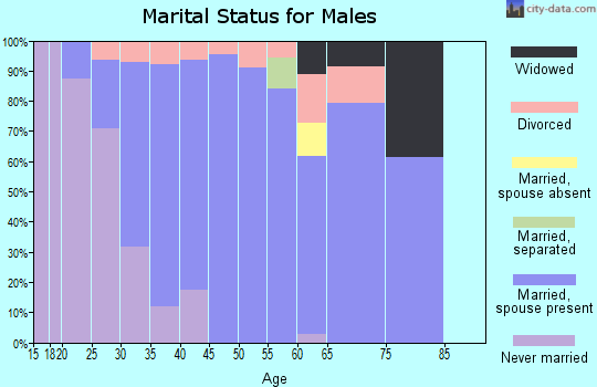Zip code 30566 marital status for males