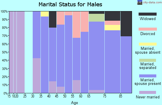 Zip code 30571 marital status for males