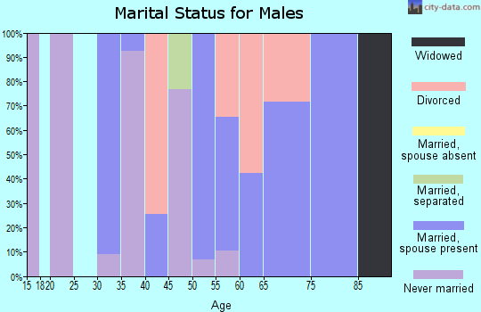 Zip code 30572 marital status for males
