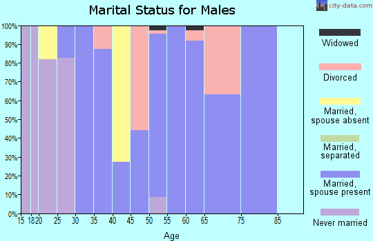 Zip code 30575 marital status for males
