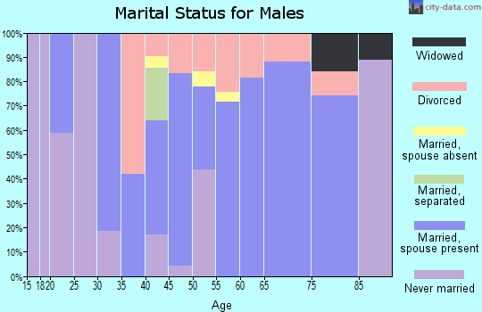 Zip code 30576 marital status for males