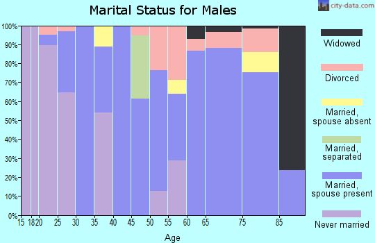 Zip code 30582 marital status for males