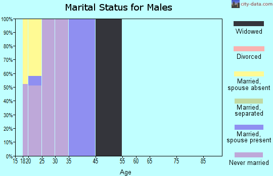 Zip code 30598 marital status for males