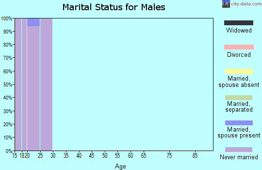 Zip code 30602 marital status for males