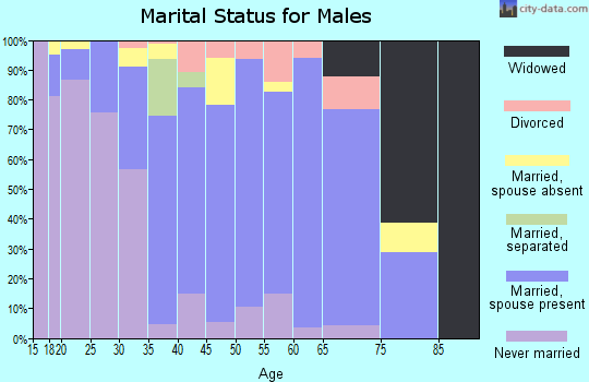 Zip code 30607 marital status for males