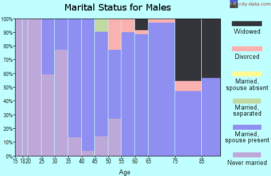 Zip code 30619 marital status for males
