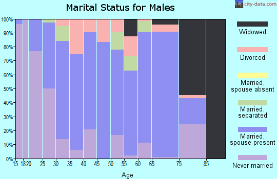 Zip code 30620 marital status for males