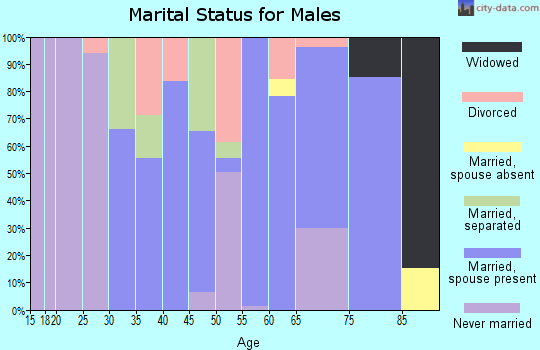 Zip code 30625 marital status for males