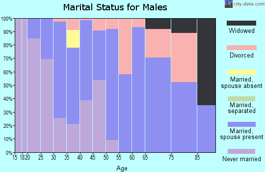 Zip code 30628 marital status for males