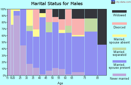 Zip code 30633 marital status for males