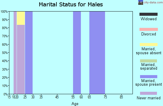 Zip code 30639 marital status for males