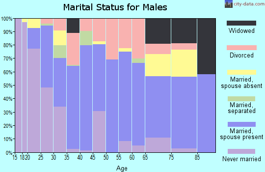 Zip code 30662 marital status for males