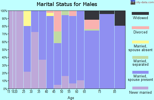 Zip code 30663 marital status for males