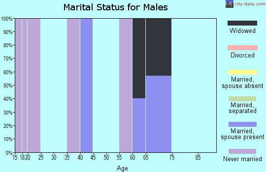 Zip code 30665 marital status for males