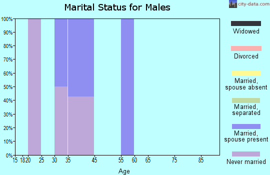 Zip code 30671 marital status for males