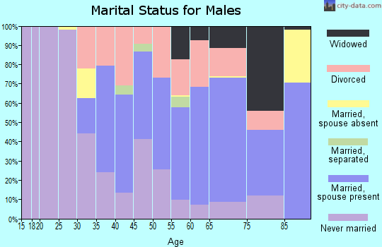 Zip code 30673 marital status for males