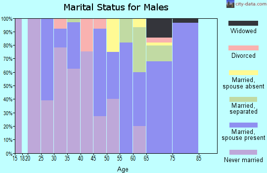 Zip code 30678 marital status for males